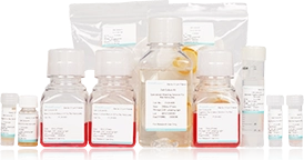 Primary Cell Isolation Kits
